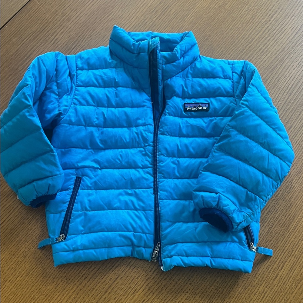 Patagonia Vibrant Blue Quilted Jacket